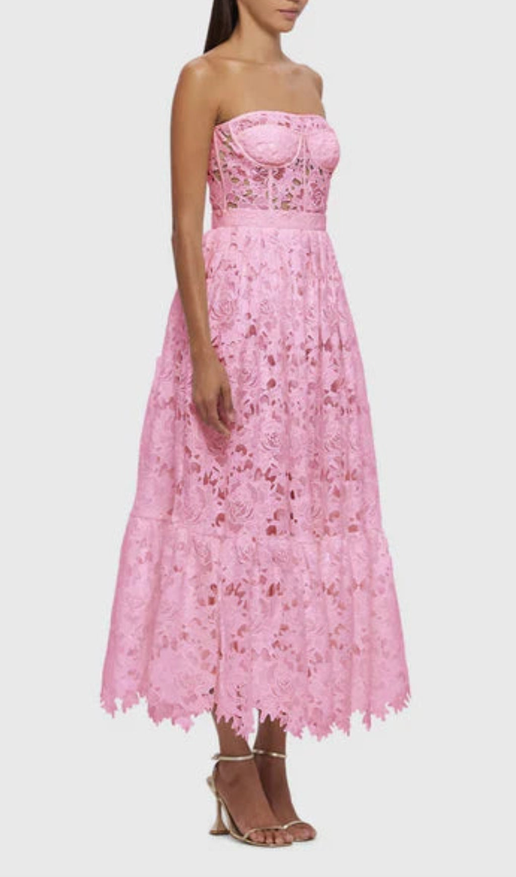14370f38b4e772c56347ccddc6703c8f.jpeg Fashionslee Women Aris Pink Lace Bustier Maxi Dress