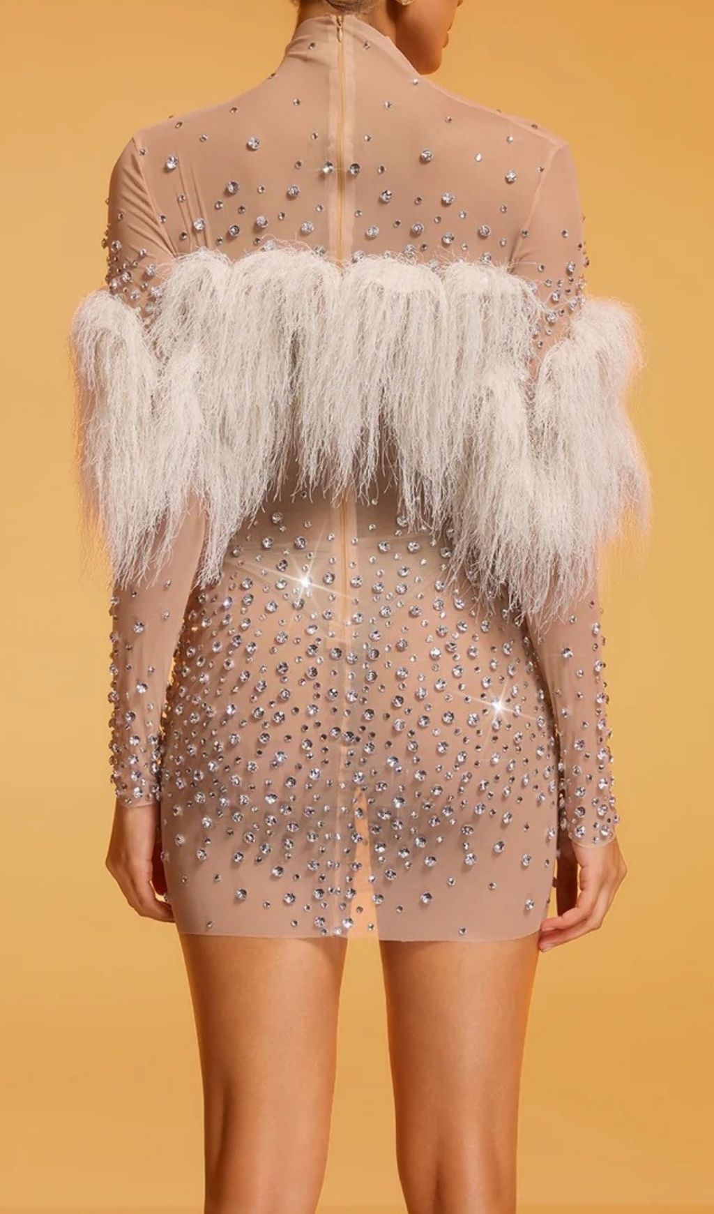 Fashionslee Women Diantha Fringe Rhinestone Mesh Mini Dress