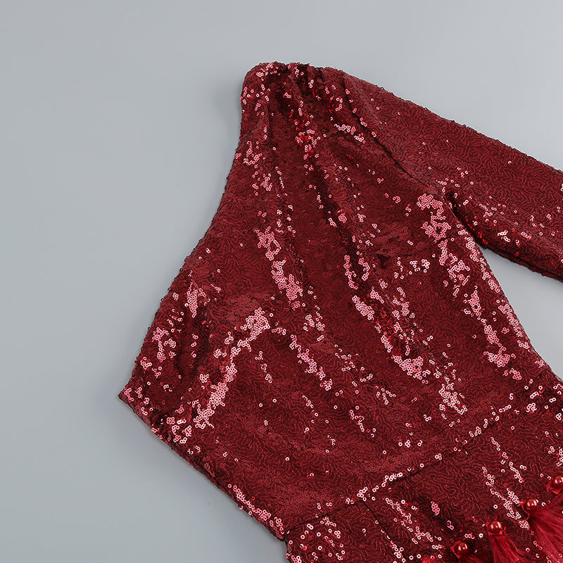 4813c4927a7bc63b1ea77aabbc7f104f.jpeg Fashionslee Women Akanksha Red Feather Sequins Mini Dress