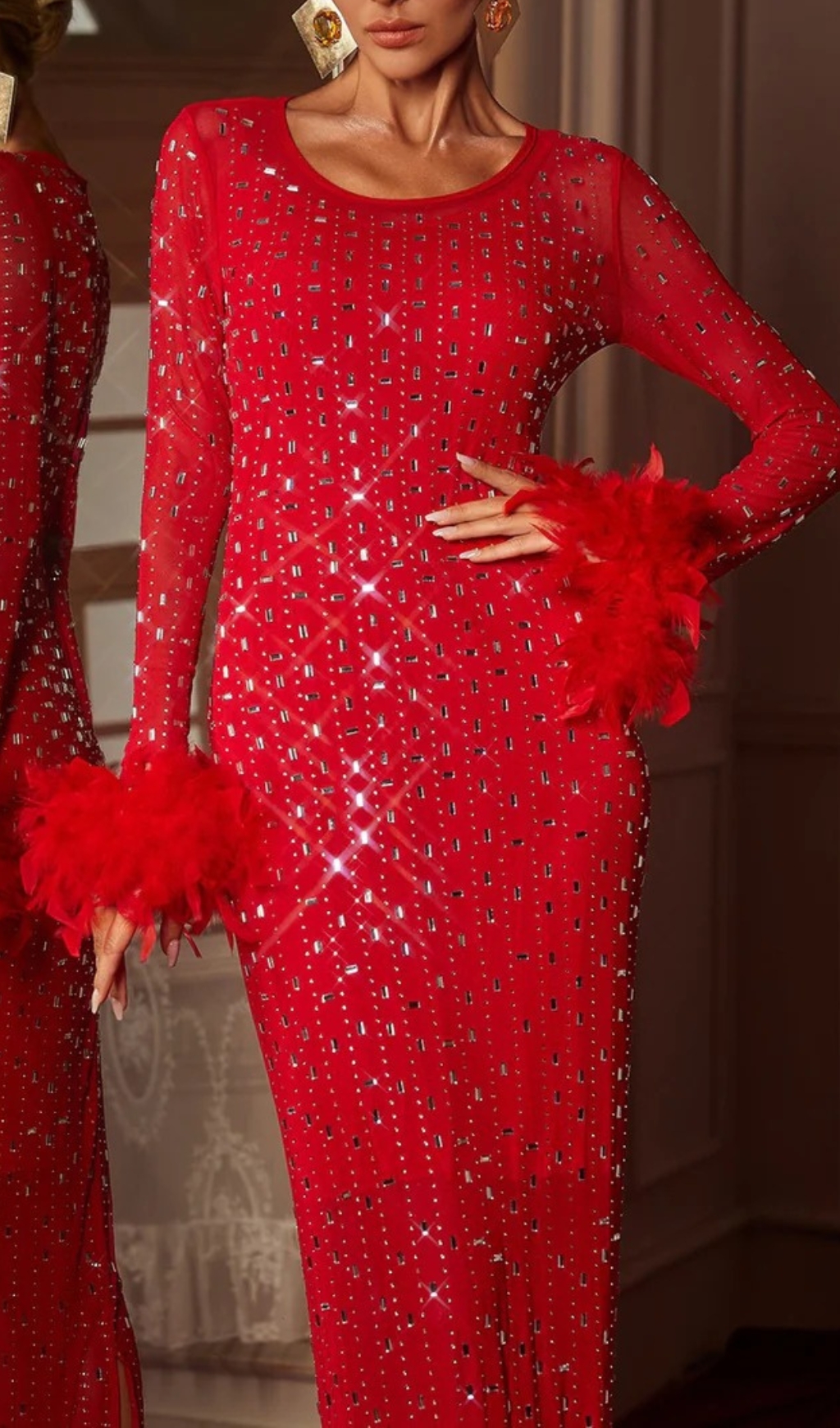 54c9490dfc709bd0738b972d9a5dff3c.jpg Fashionslee Women Chardea Rhinestone Feather Mesh Maxi Dress