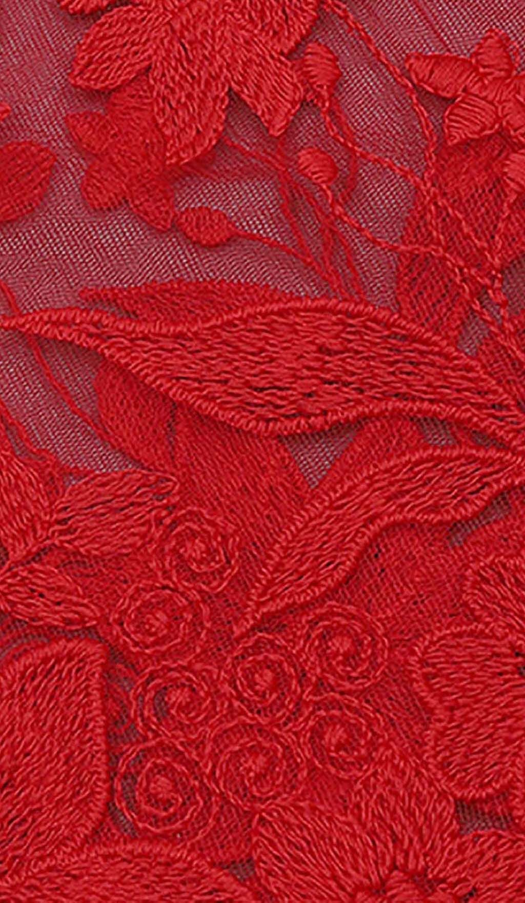 Fashionslee Women Floral Corset Lace Maix Dress In Red