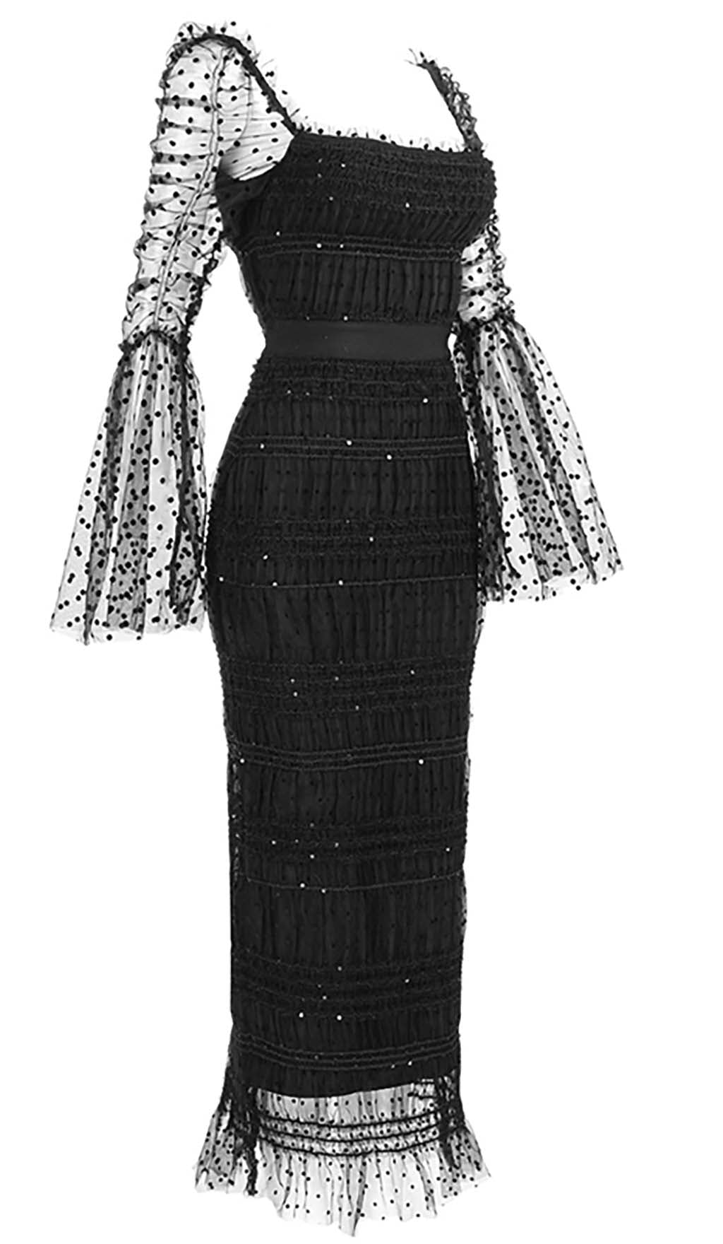 6f698adfc5c02cc240d402327074b982.jpeg Fashionslee Women Dot Mesh Midi Dress In Black