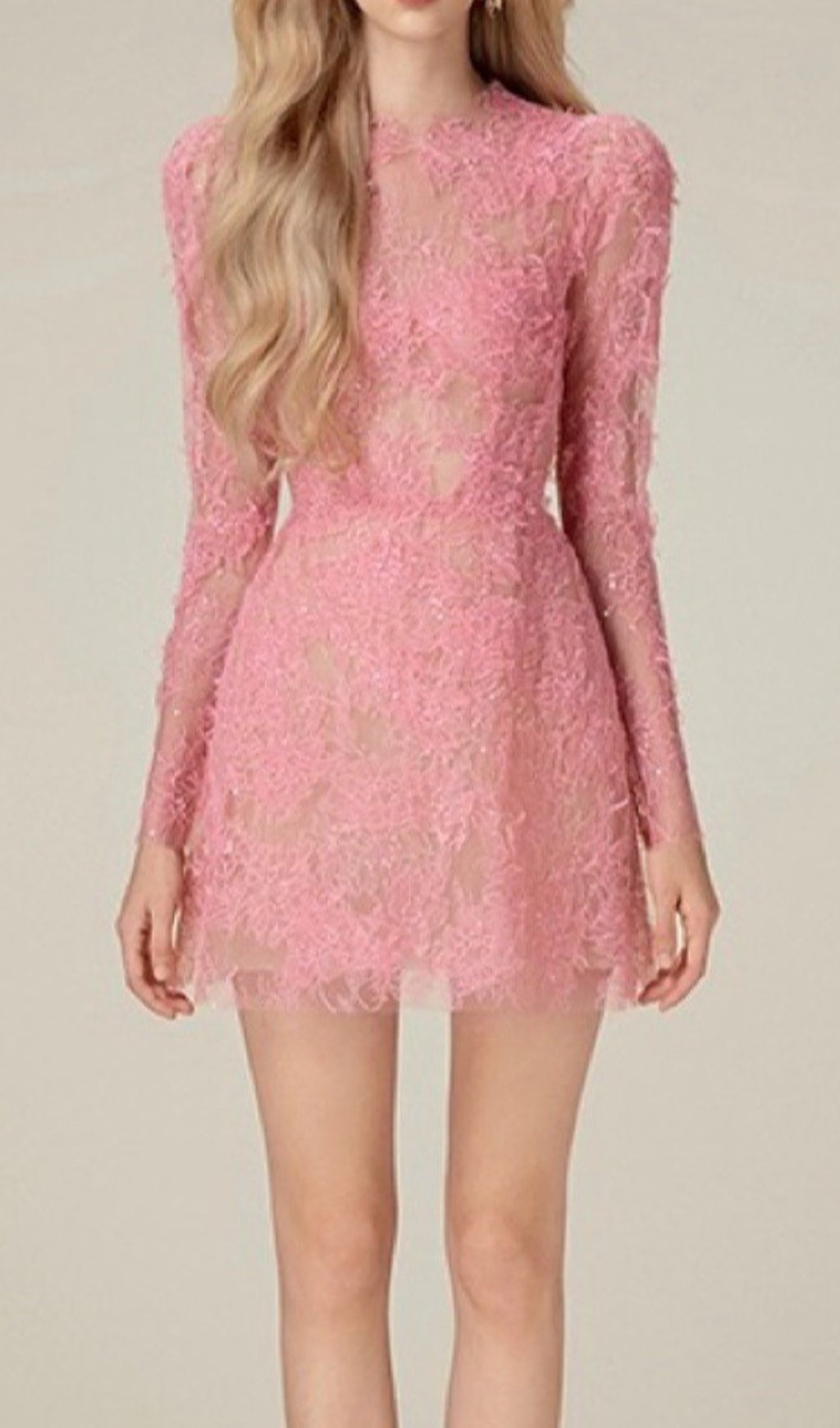Fashionslee Women Adri Lace Embroidery Mini Dress