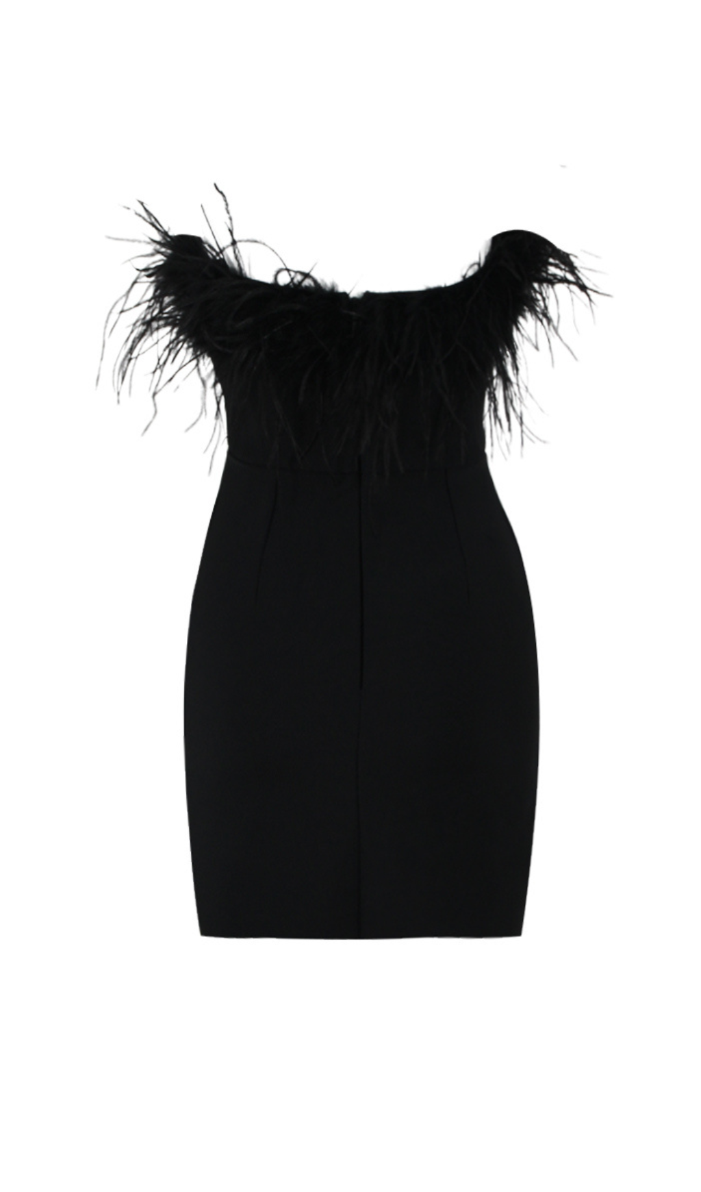 Fashionslee Women Agathe Black Feather Trim Mini Dress