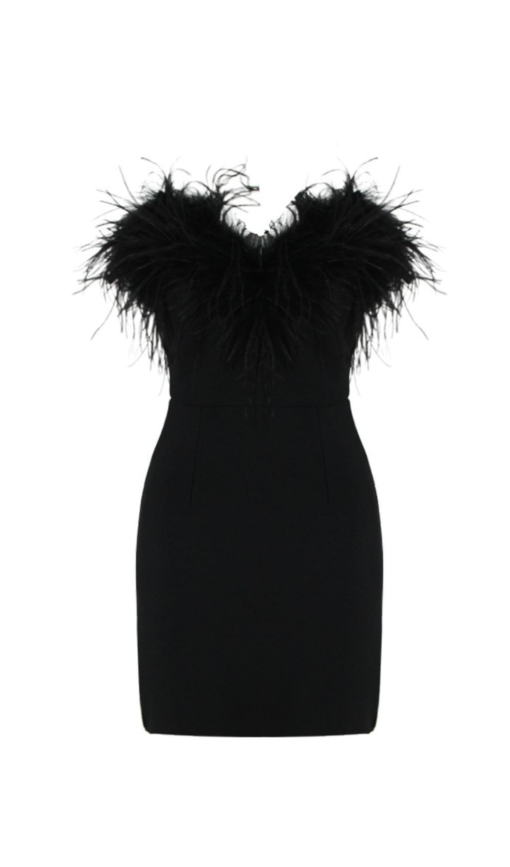 Fashionslee Women Agathe Black Feather Trim Mini Dress