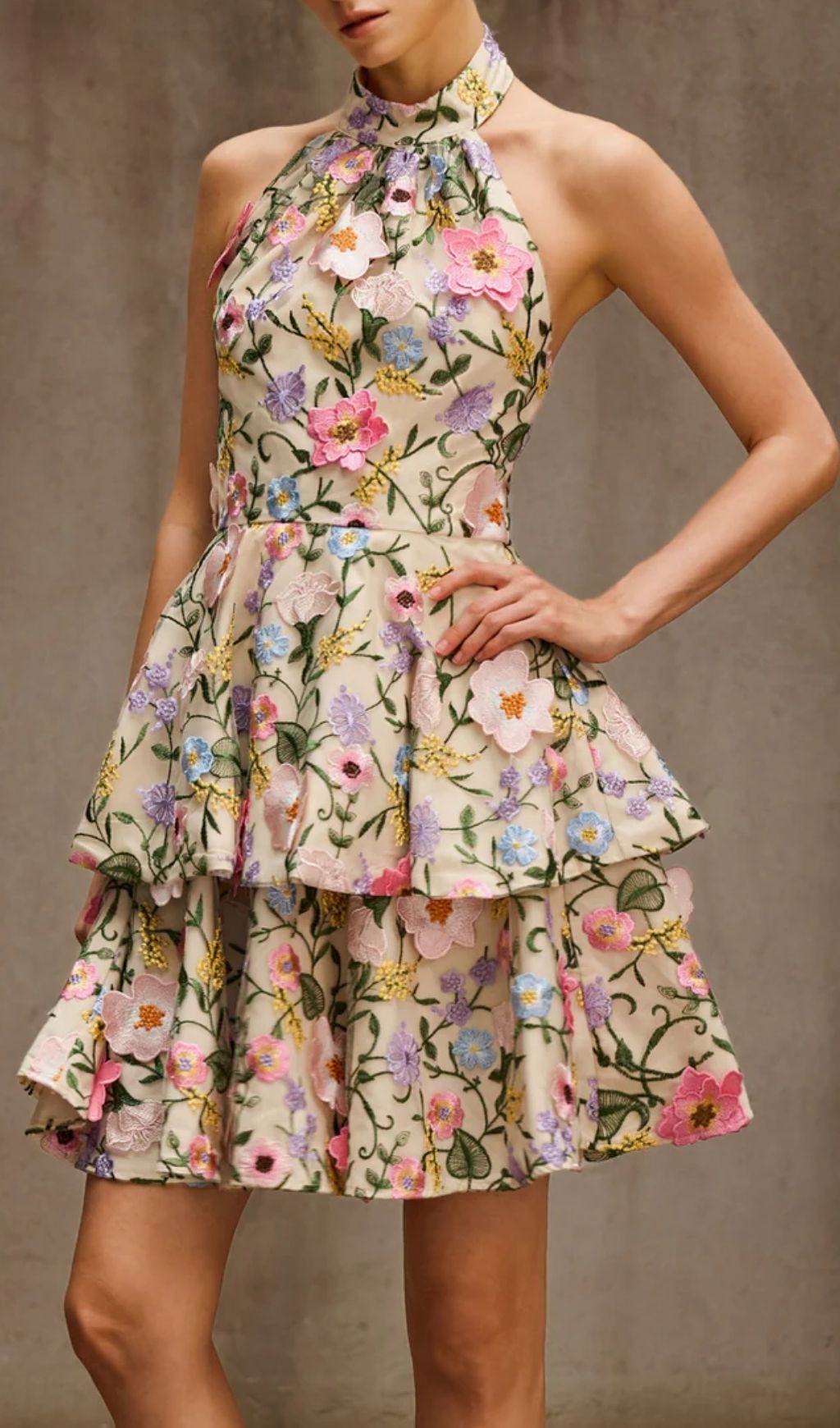 8ca95a479b352f4a303da506211d60d4.jpg Fashionslee Women Dyllis Halterneck Flower Embroidered Mini Dress