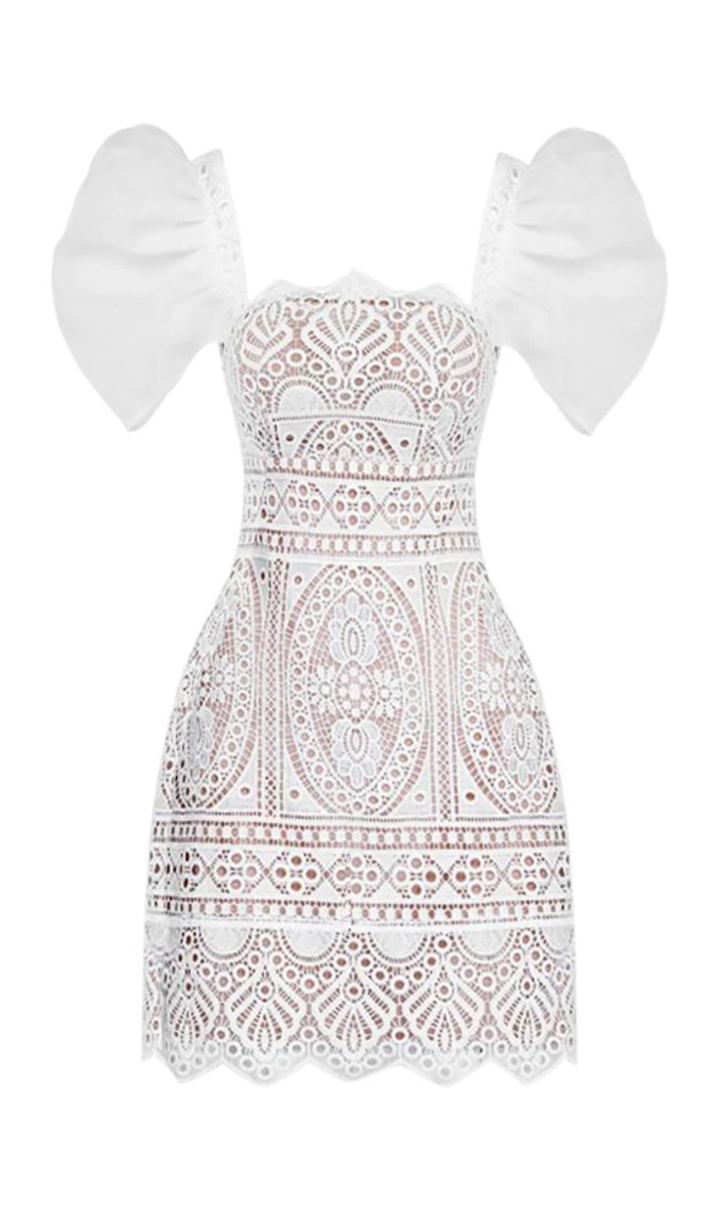 8e852b4e746a7c51e16376af04193483.jpeg Fashionslee Women Retro Puff Sleeve Lace Mini Dress