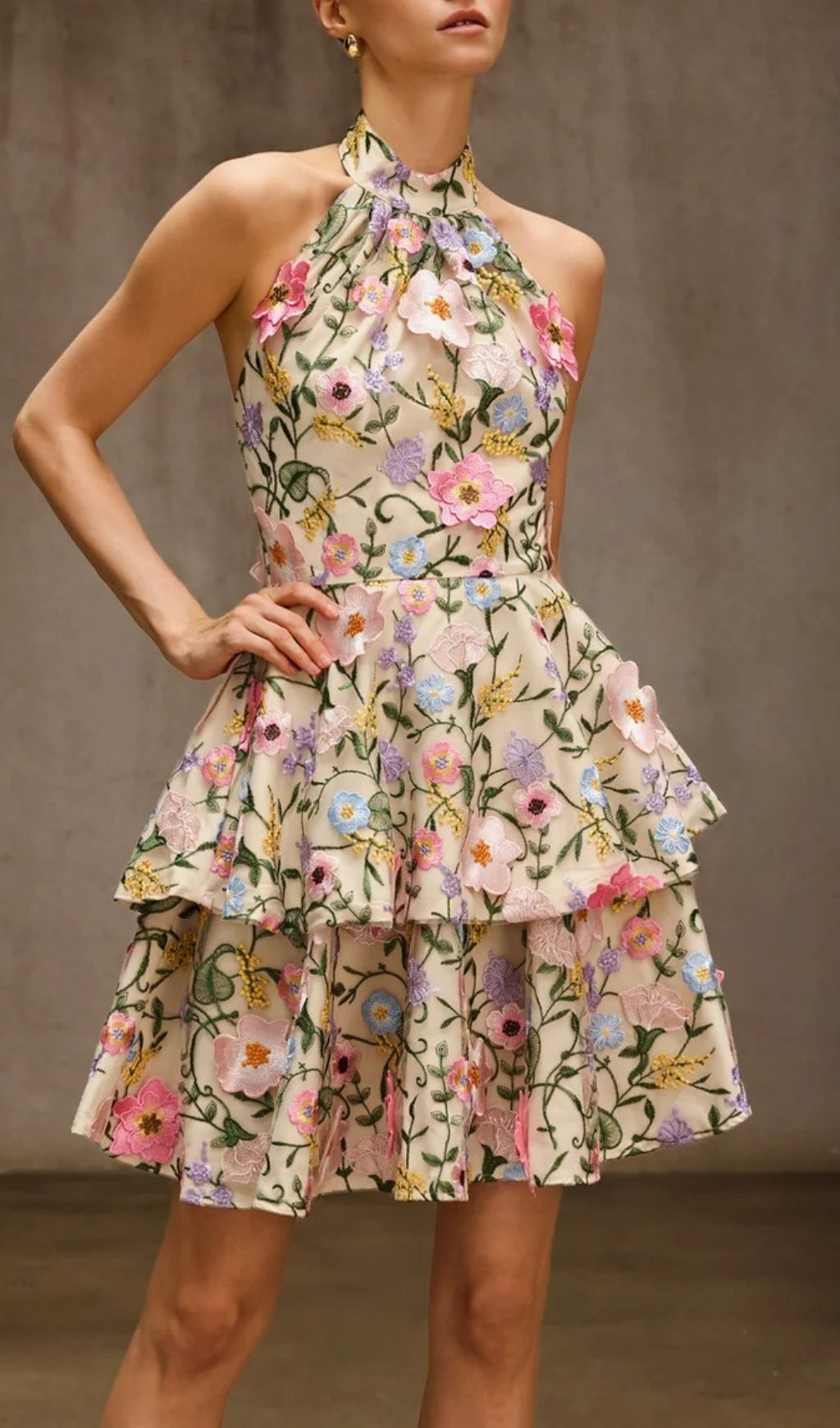 8ec0a65ae1285c812639027d98e387e9.jpg Fashionslee Women Dyllis Halterneck Flower Embroidered Mini Dress