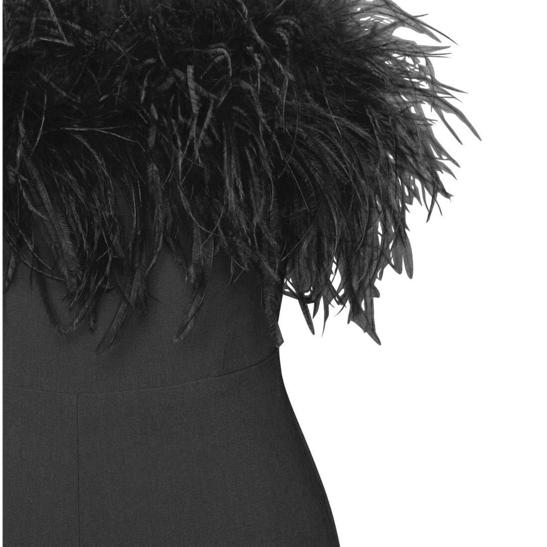 94b724830652ff26c631732f05ca7cdf.jpeg Fashionslee Women Feather Jumpsuit In Black