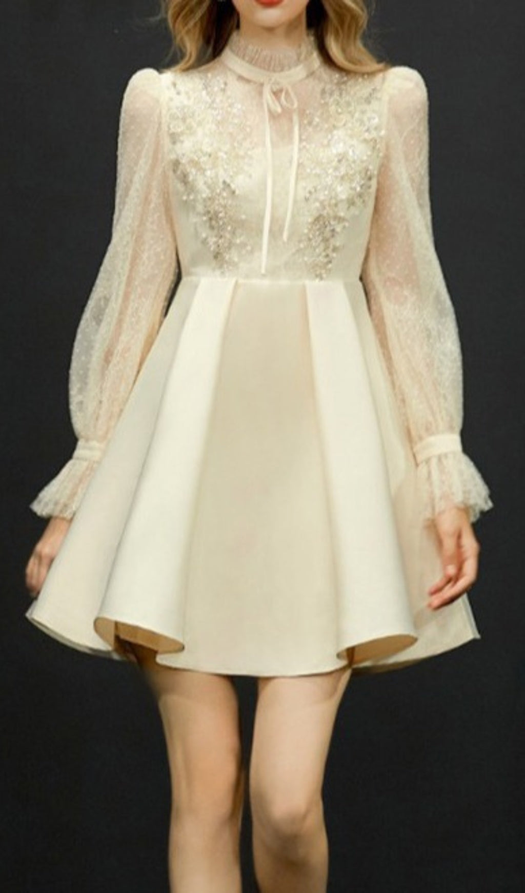 Fashionslee Women Aydin Sequin Lace Mini Dress