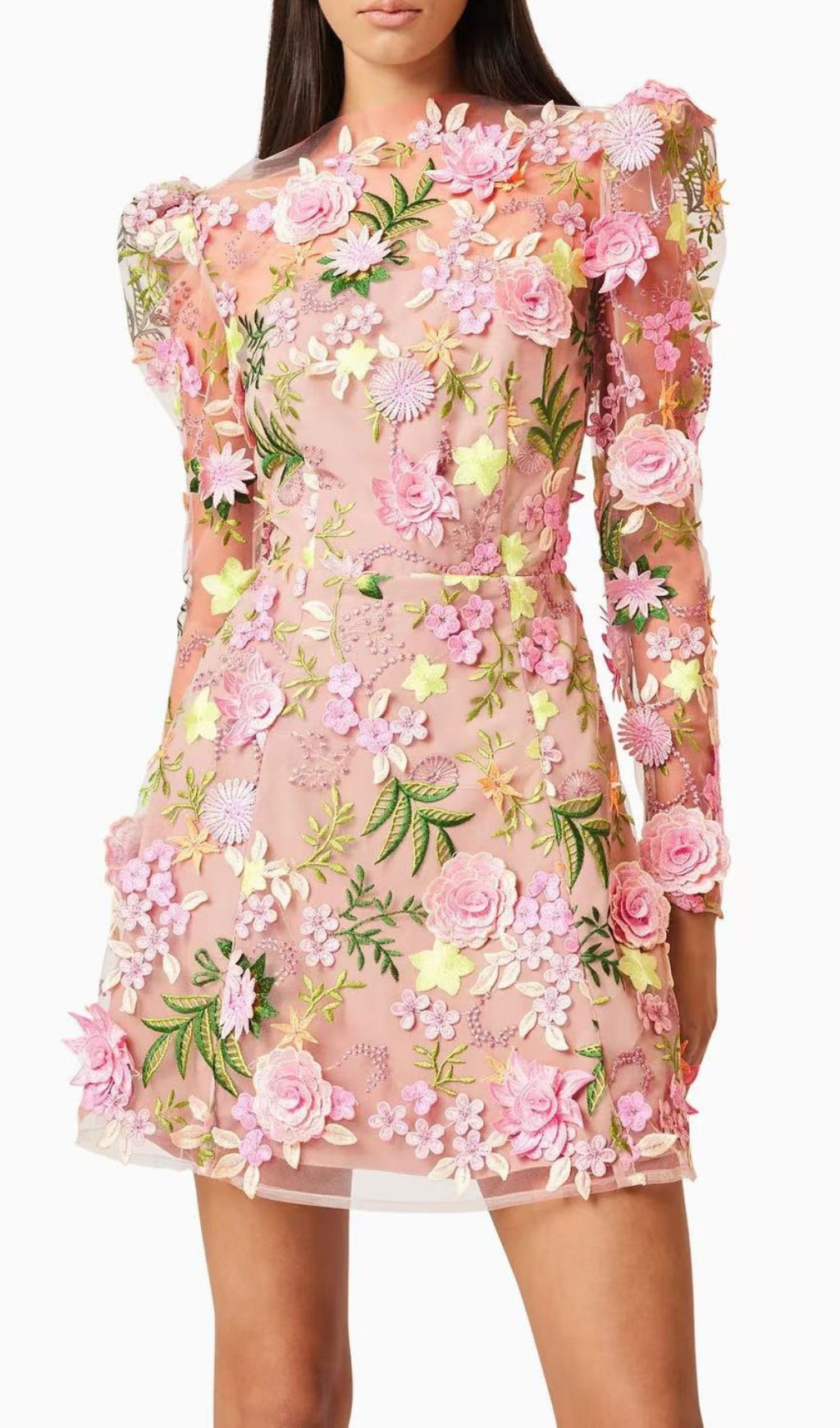 Fashionslee Women Emrys Flower Embroidery Long Sleeve Mini Dress