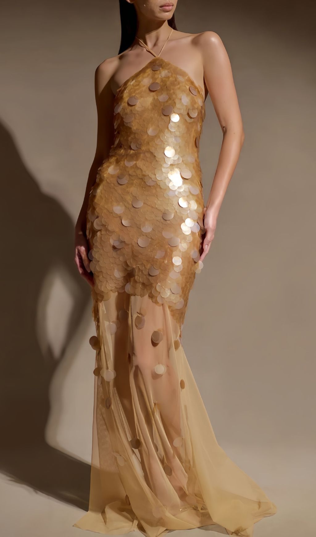 a8b84307befc5a1aedf2f5f102513053.jpg Fashionslee Women Huber Halter Sequin Mesh Maxi Dress