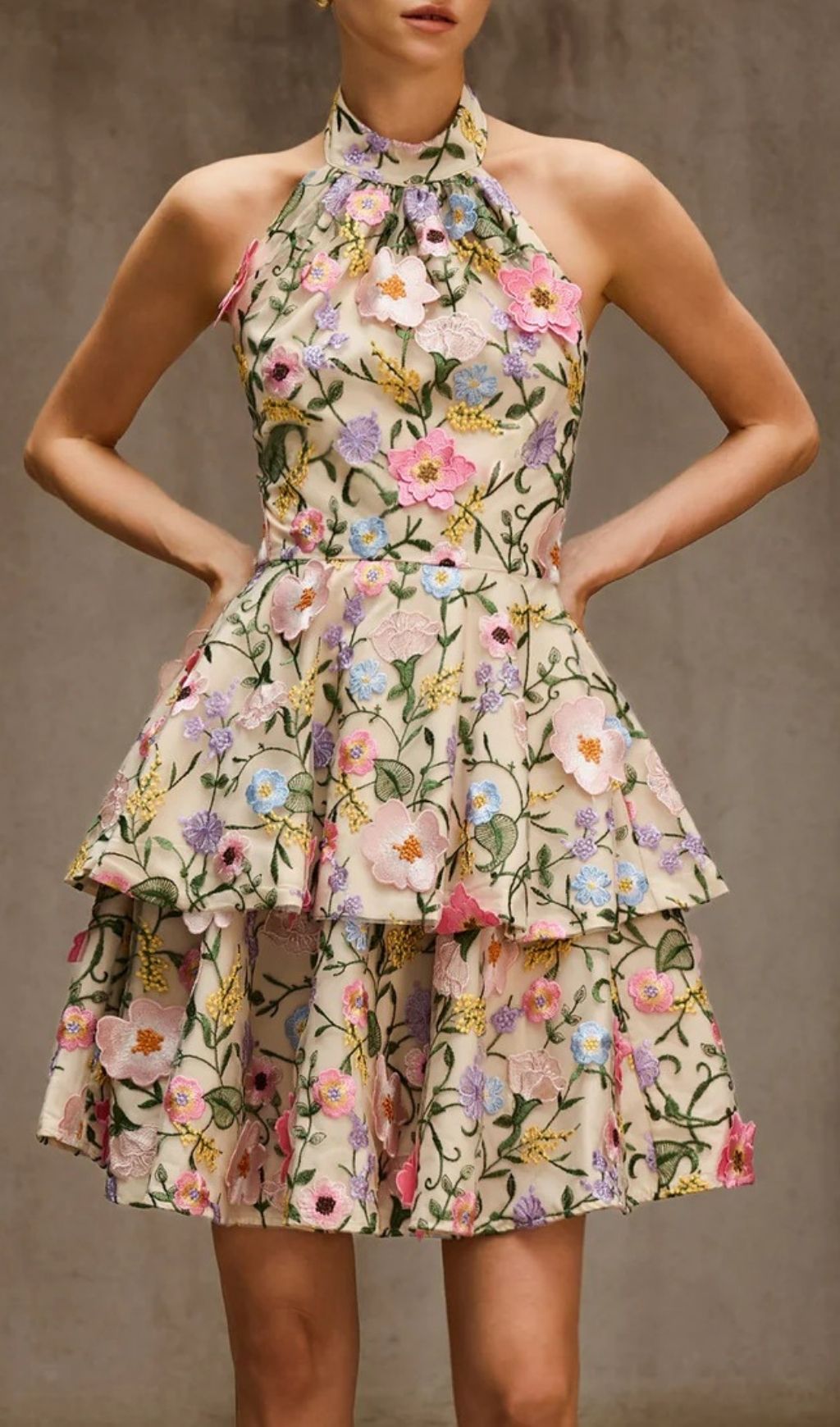 aa21a6e1a25532c0f8a14422c4966eb9.jpg Fashionslee Women Dyllis Halterneck Flower Embroidered Mini Dress