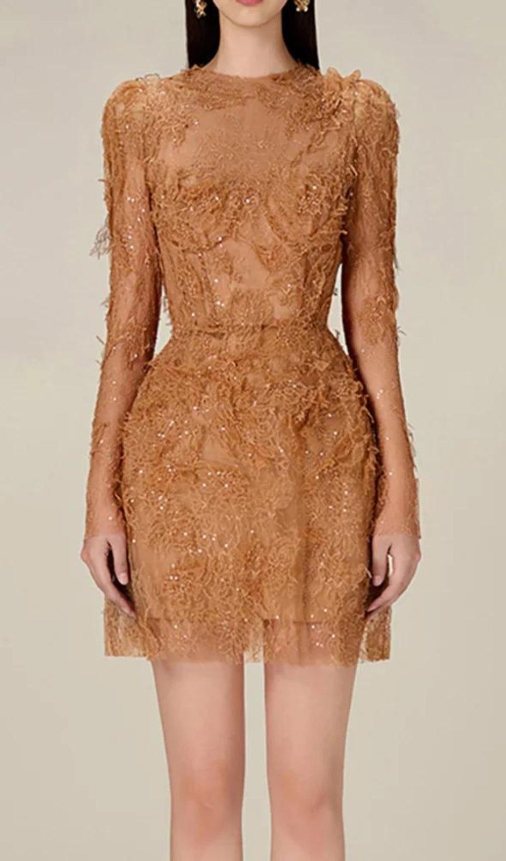 Fashionslee Women Adri Lace Embroidery Mini Dress