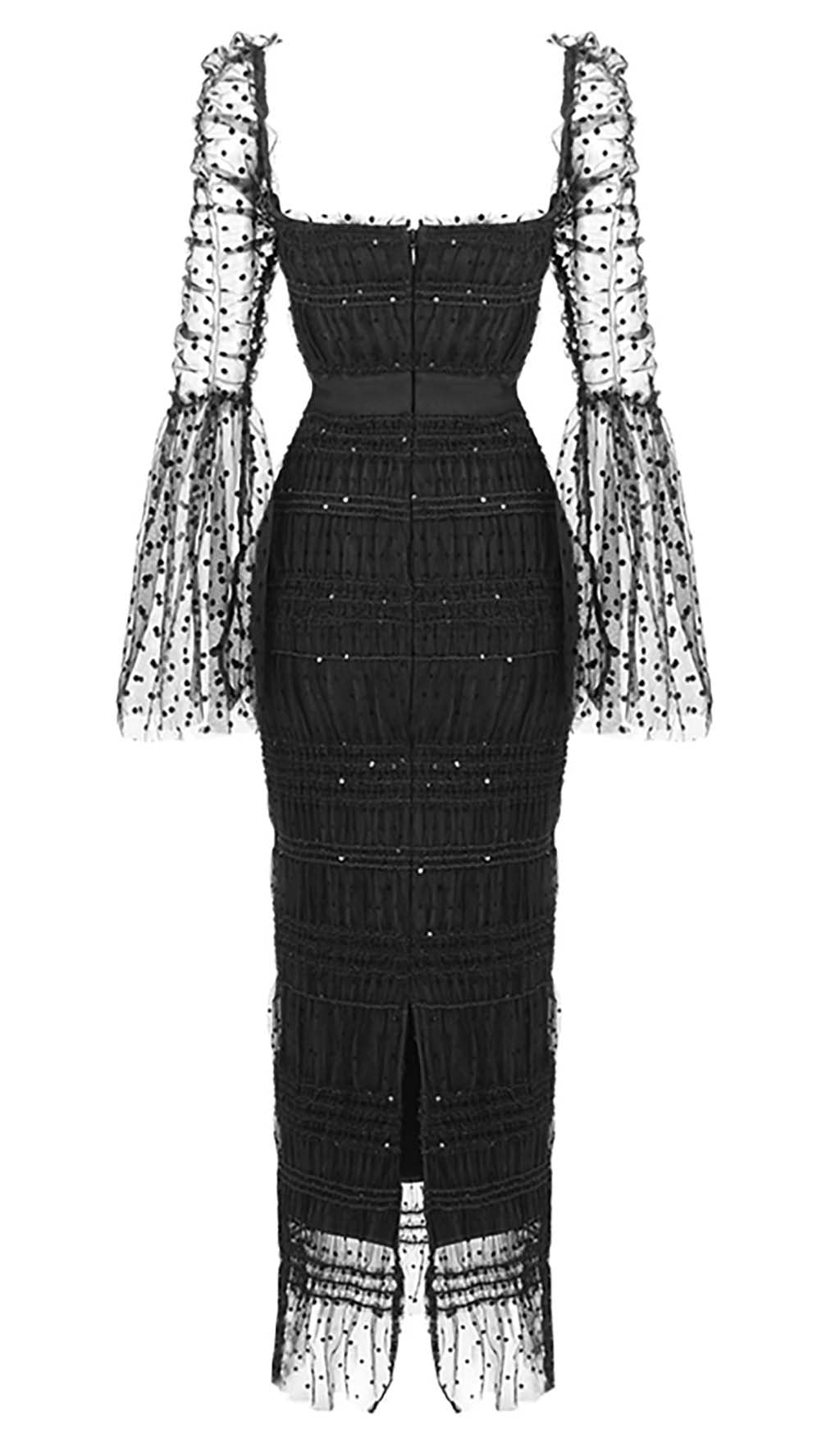 c2a518a9d49aca6bafa4d0459d244618.jpeg Fashionslee Women Dot Mesh Midi Dress In Black