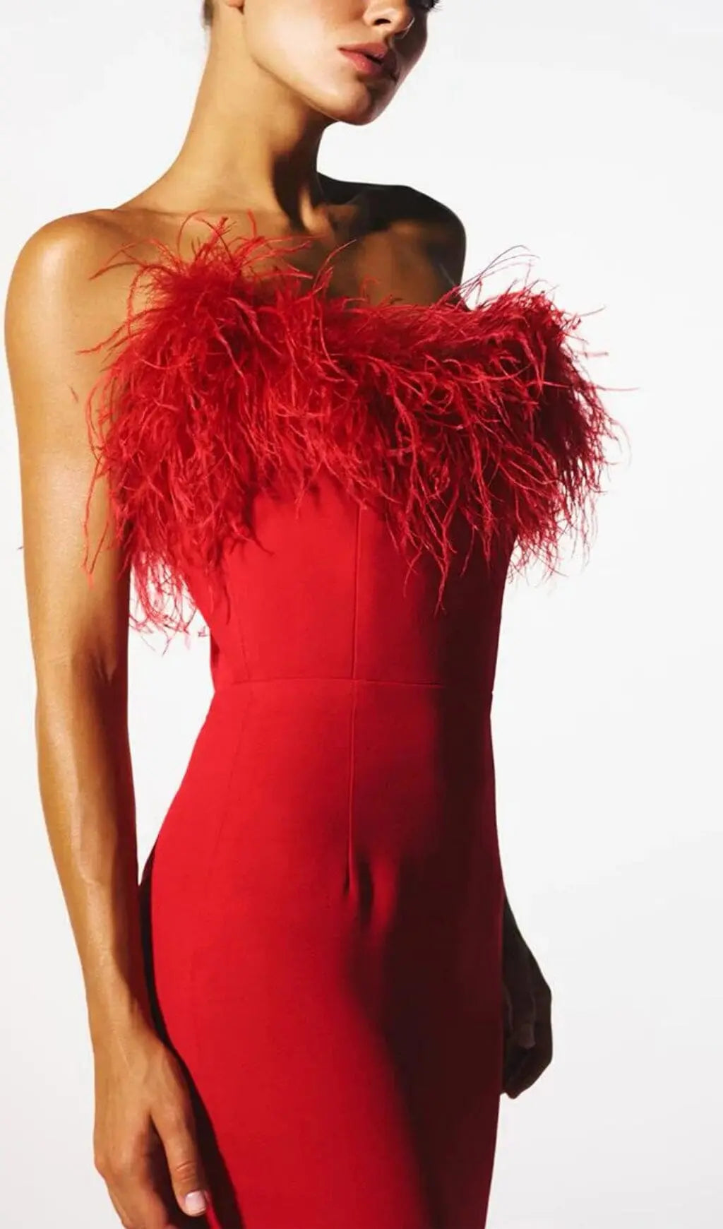 c76b699b1b23919af52024480c6d90e5.jpeg Fashionslee Women Stretch Strapless Feather Trimmed Gown In Red