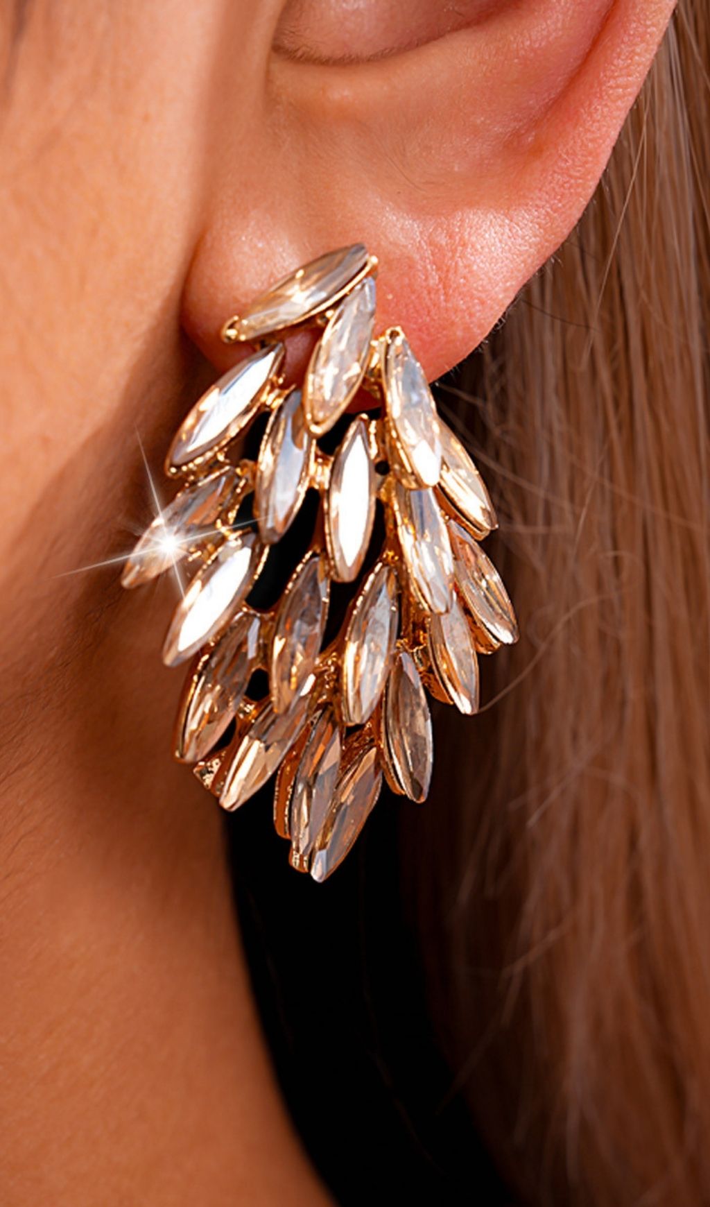 Fashionslee Women Katinka Diamante Earrings