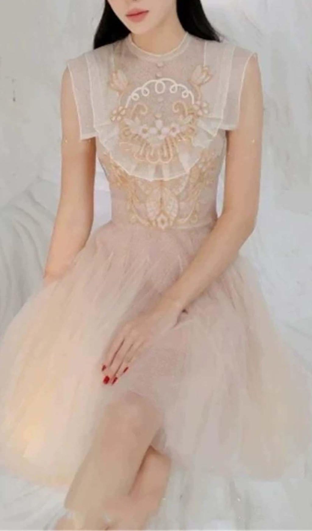 d71447e68dd42bde07a6ccb96bb5036f.jpeg Fashionslee Women Mesh Embroidered Skater Dress