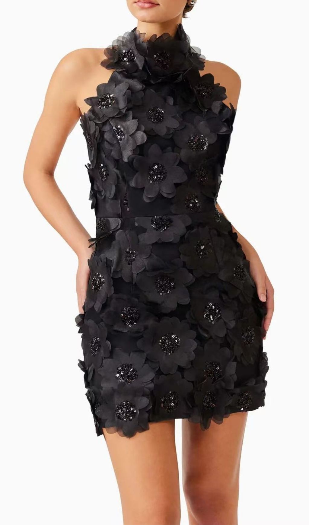 dffd27eb70f4647eb2388eec33649c04.jpg Fashionslee Women Pavryn Black Halterneck Sequin Flower Mini Dress