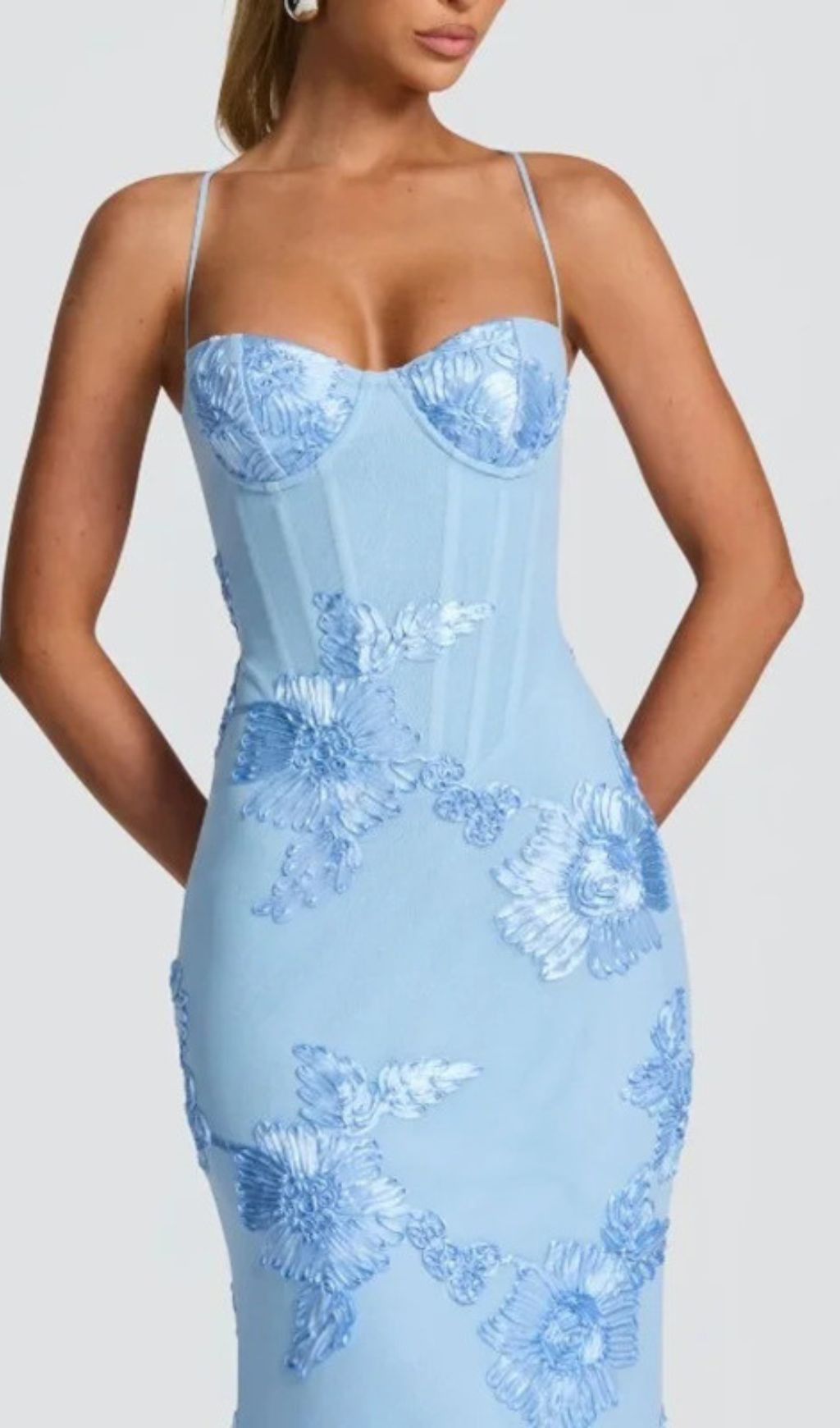 Fashionslee Women Jaleh Blue Floral Backless Maxi Dress
