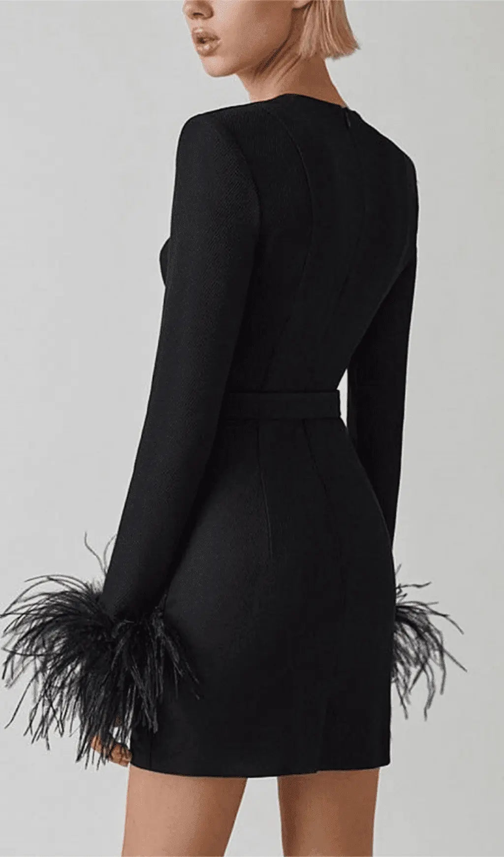 Fashionslee Women Stretch Long Sleeves Feather Mini Dress In Black