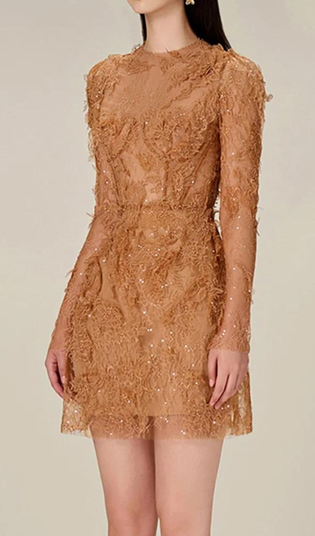 Fashionslee Women Adri Lace Embroidery Mini Dress