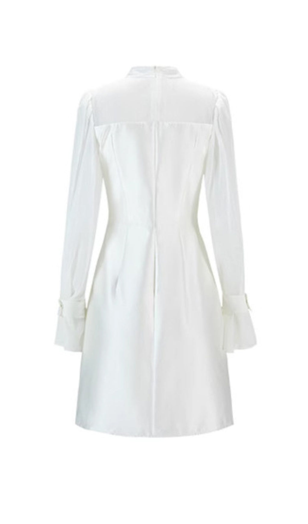 VIRAL MESH LONG SLEEVE MINI DRESS - OWNCI