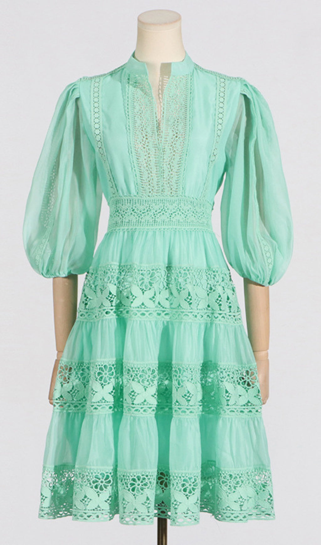 042871147d81a67221abac8467071b49.jpeg Fashionslee Women Astrea Puff Sleeve Embroidery Mini Dress