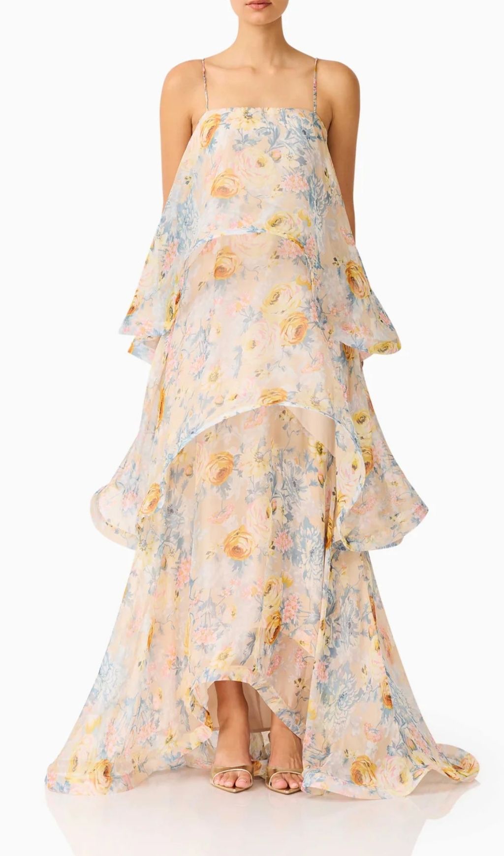 Fashionslee Women Lael Floral Printed Maxi Dress