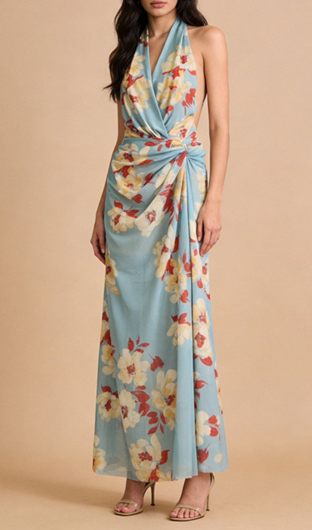 2b72758e0e6d5ce09826ad3d3c64e380.jpg Fashionslee Women Kerstin Halter Floral Maxi Dress