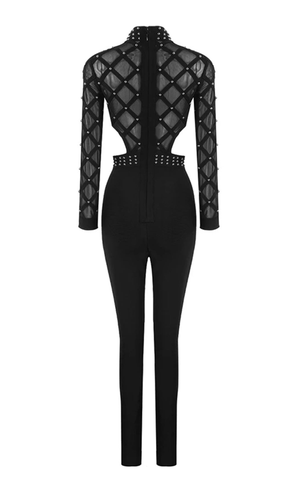 2b8a7ad9aabbeefd61cd43522ba53d2b.jpeg Fashionslee Women Ashwina Black Mesh Jumpsuit