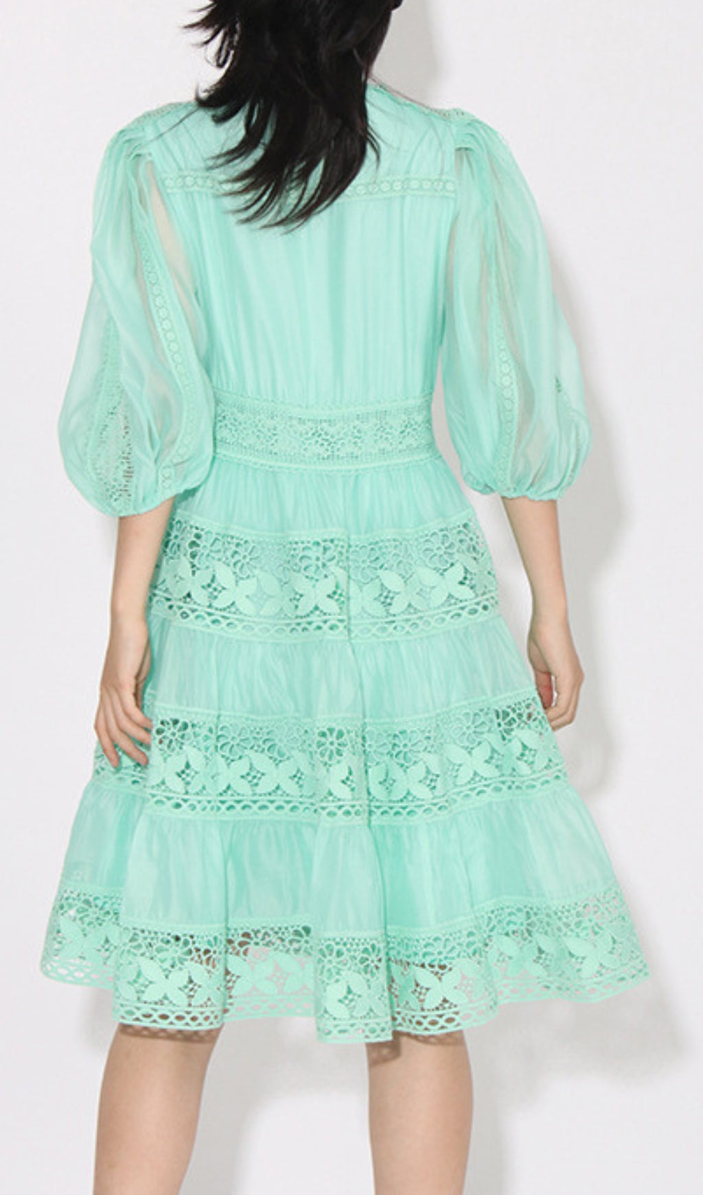 Fashionslee Women Astrea Puff Sleeve Embroidery Mini Dress