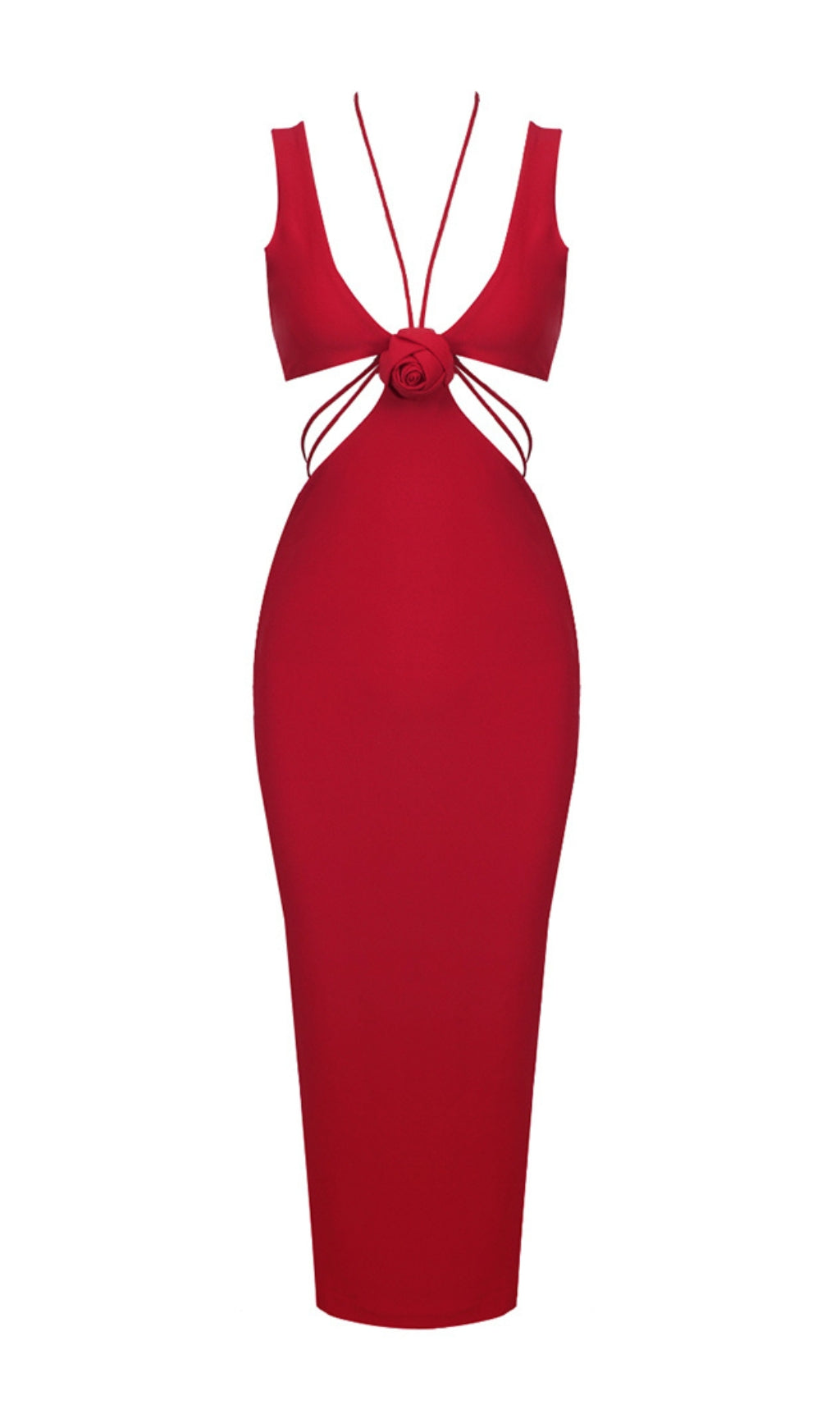 5e0a3ba05a096ace735ff72393a7d302.jpeg Fashionslee Women Alize Flower Embellished Maxi Dress