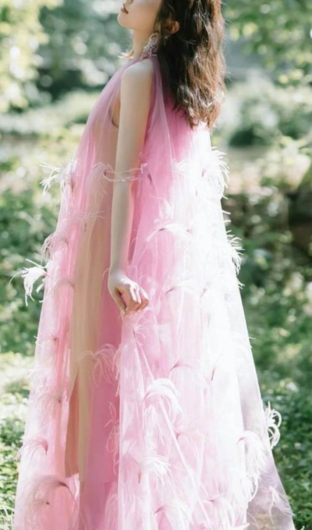 c1caca9d4cc8dabe5f762010e304df49.jpeg Fashionslee Women Bathsheba Feather Mesh Maxi Dress