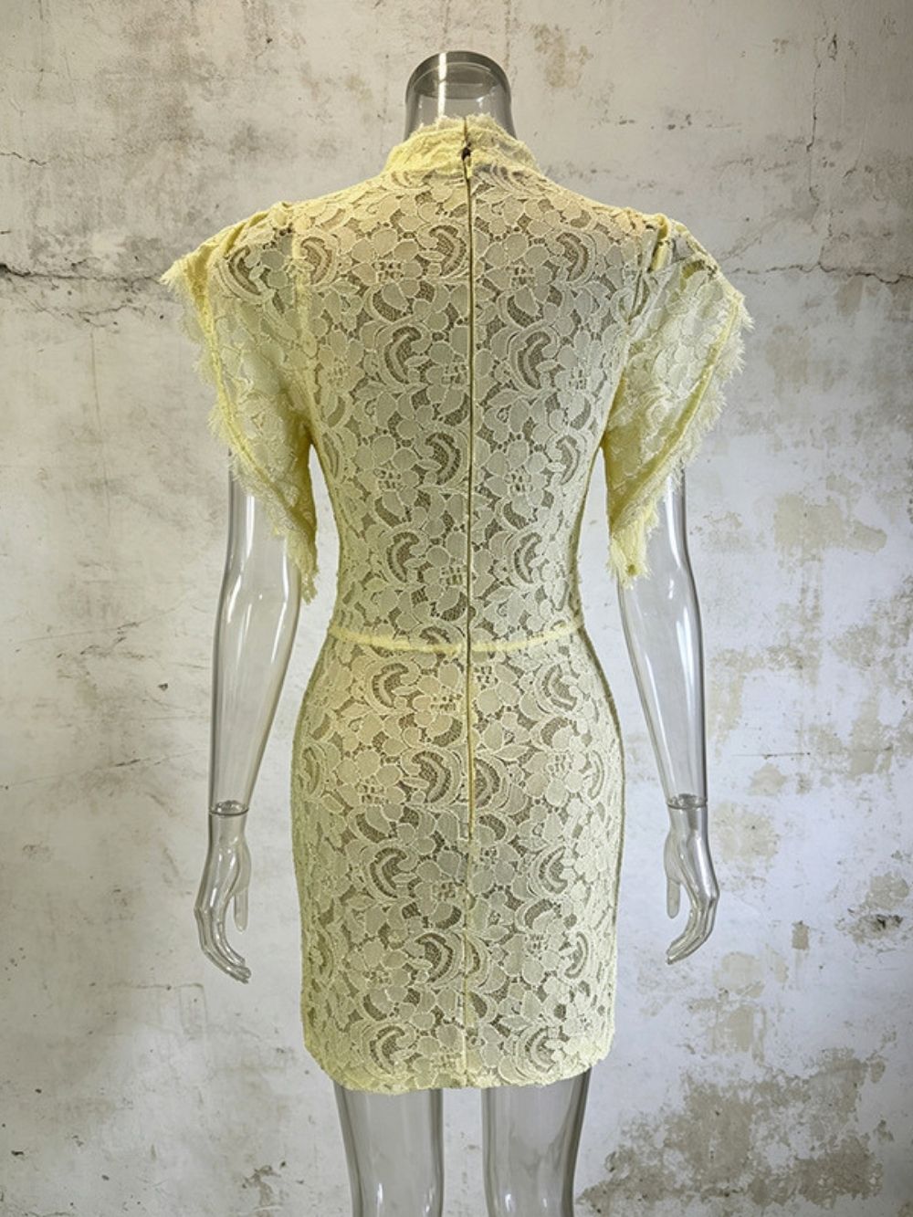 Mandisa Lace Mini Dress - OWNCI