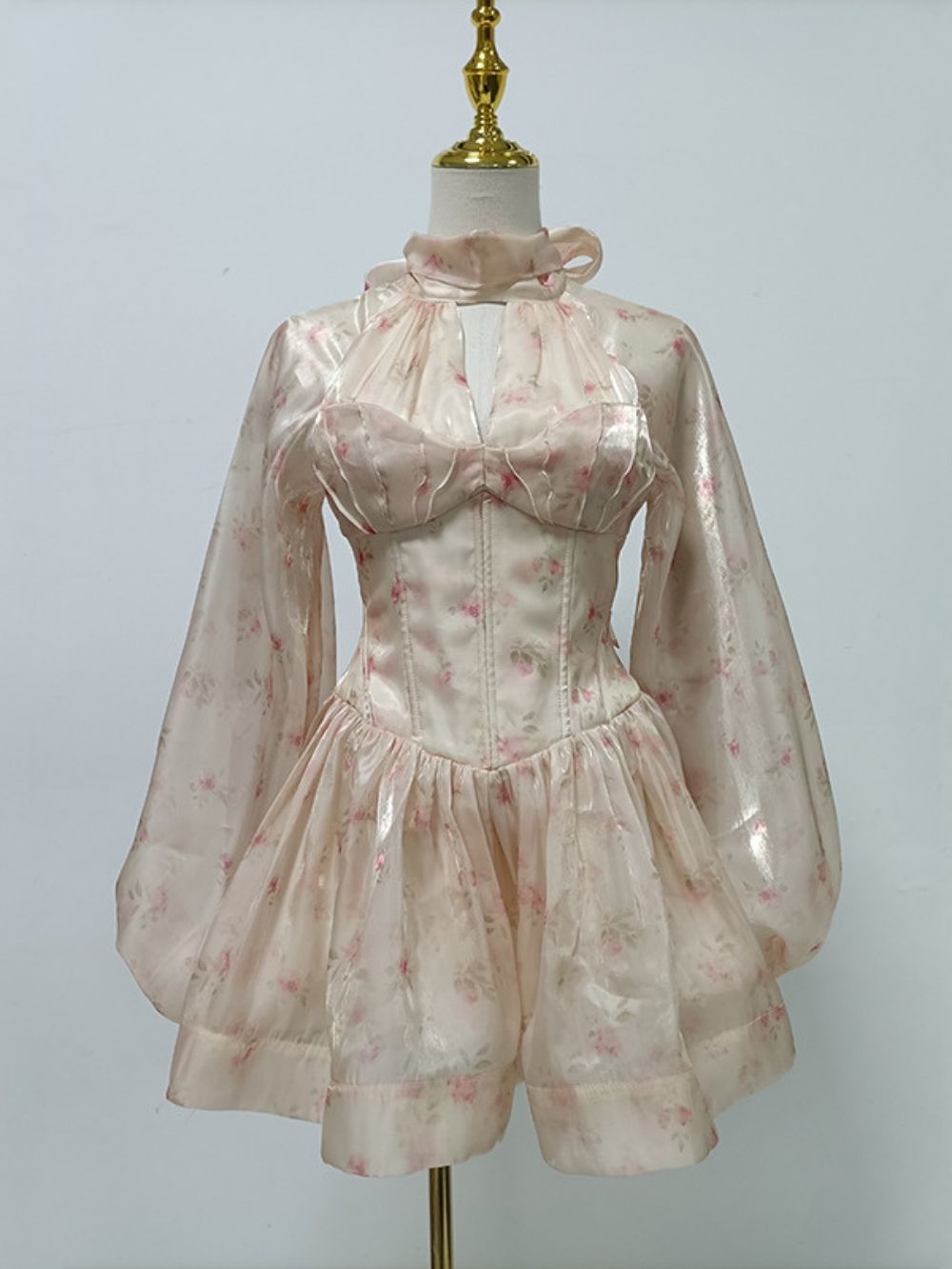 315dfcd5a69c59d8271570e45968a6e2 Madilynn Floral Corset Long Sleeve Mini Dress