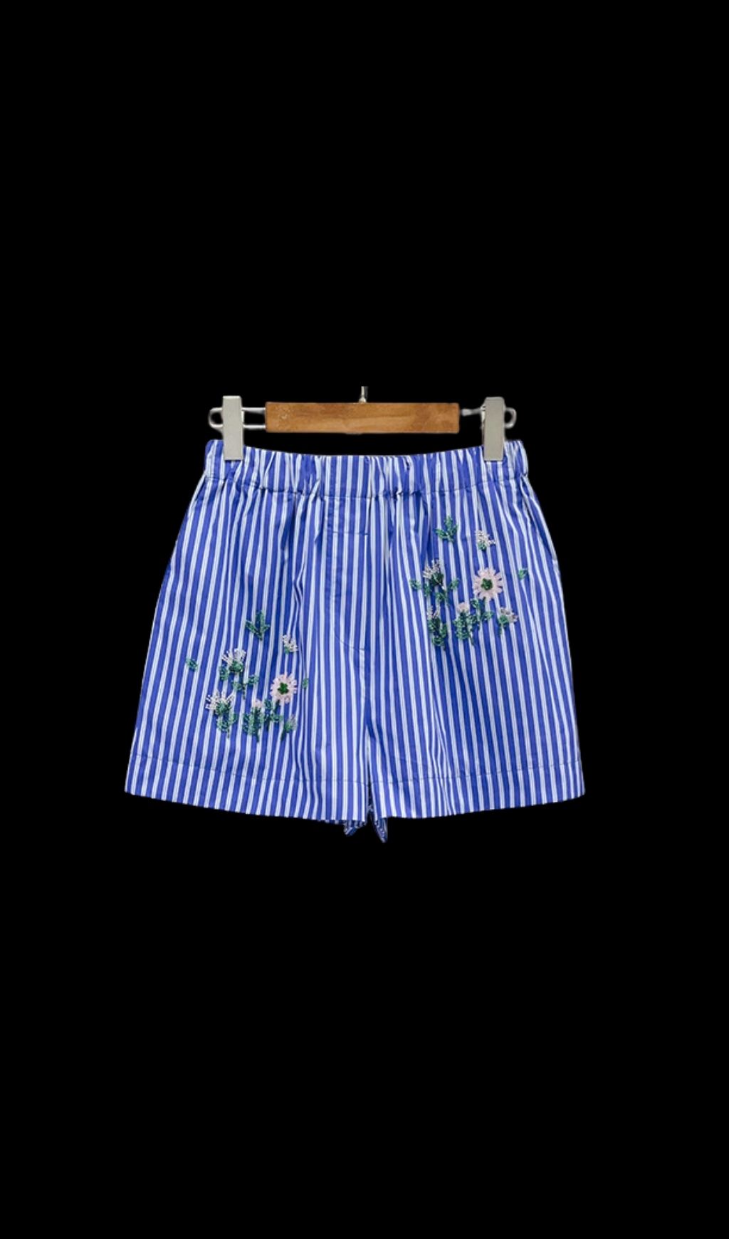 Fashionslee Women Embroidered Striped Shorts