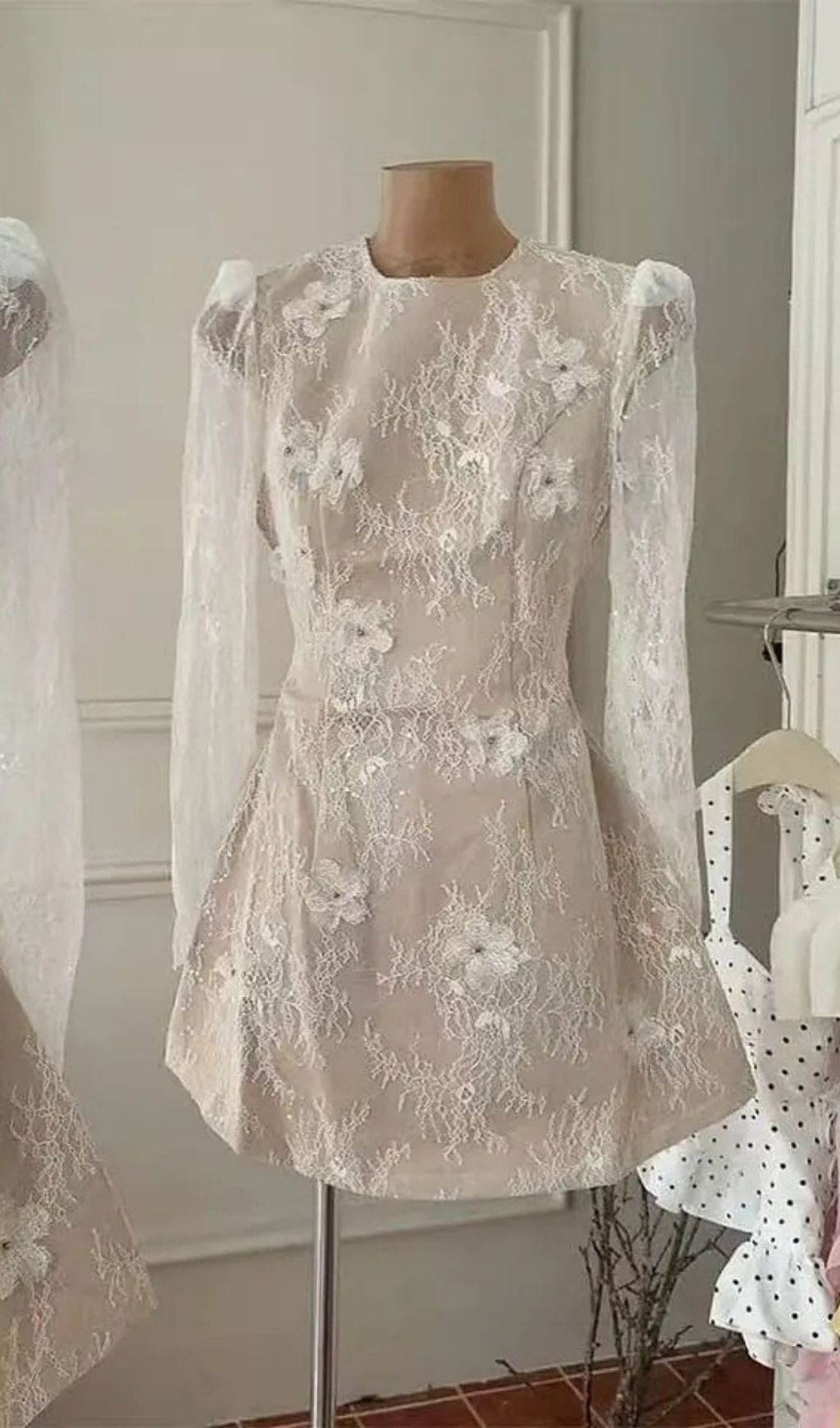 Amy Sheer Lace Long-Sleeve Floral Applique Mini Dress In Beige - OWNCI Amy Sheer Lace Long-Sleeve Floral Applique Mini Dress In Beige - OWNCI
