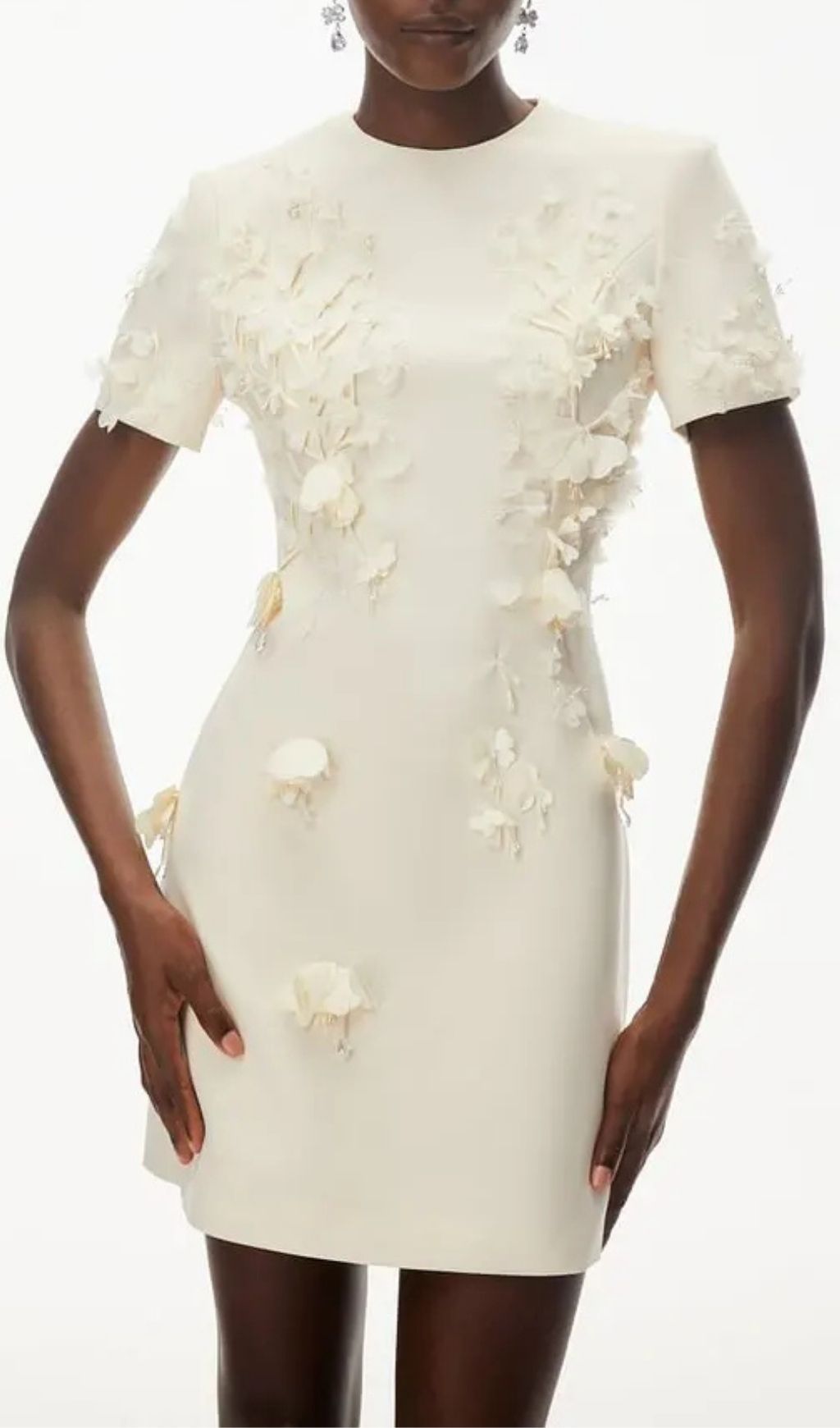 Ivory Round Neck Mini Dress With Floral Applique