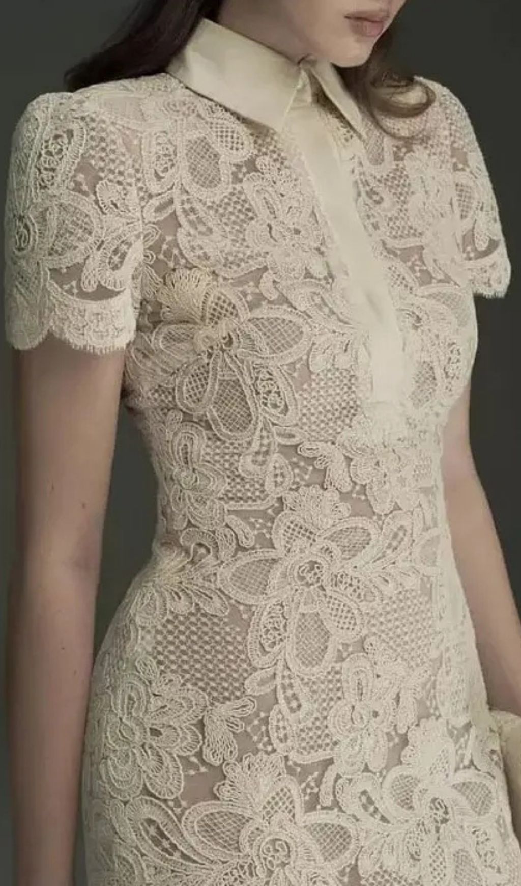 Beige Lace Overlay Collared Maxi Dress With Organza Skirt