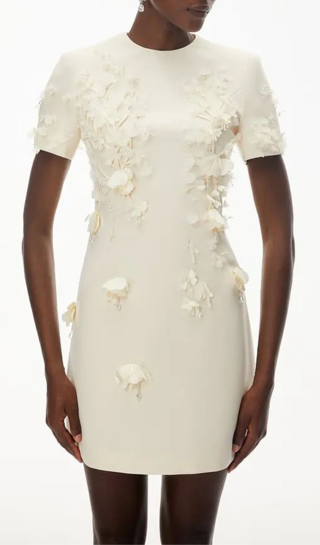 Ivory Round Neck Mini Dress With Floral Applique