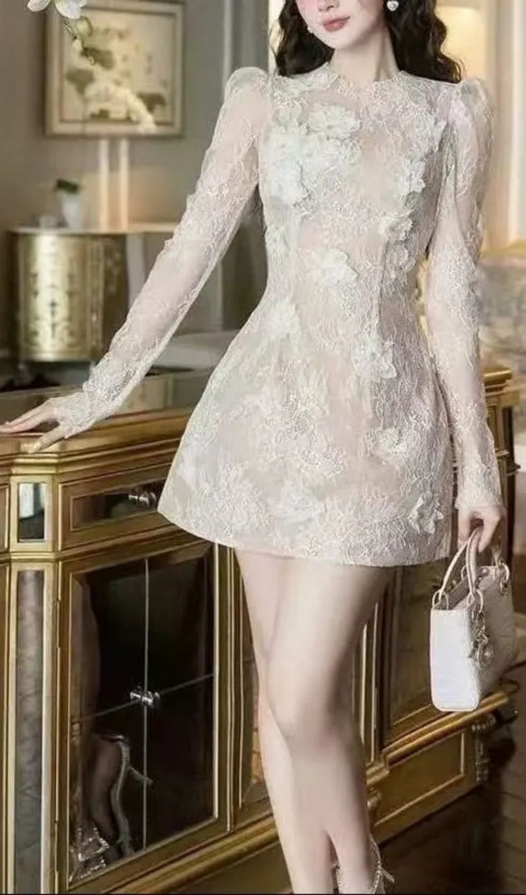 Amy Sheer Lace Long-Sleeve Floral Applique Mini Dress In Beige