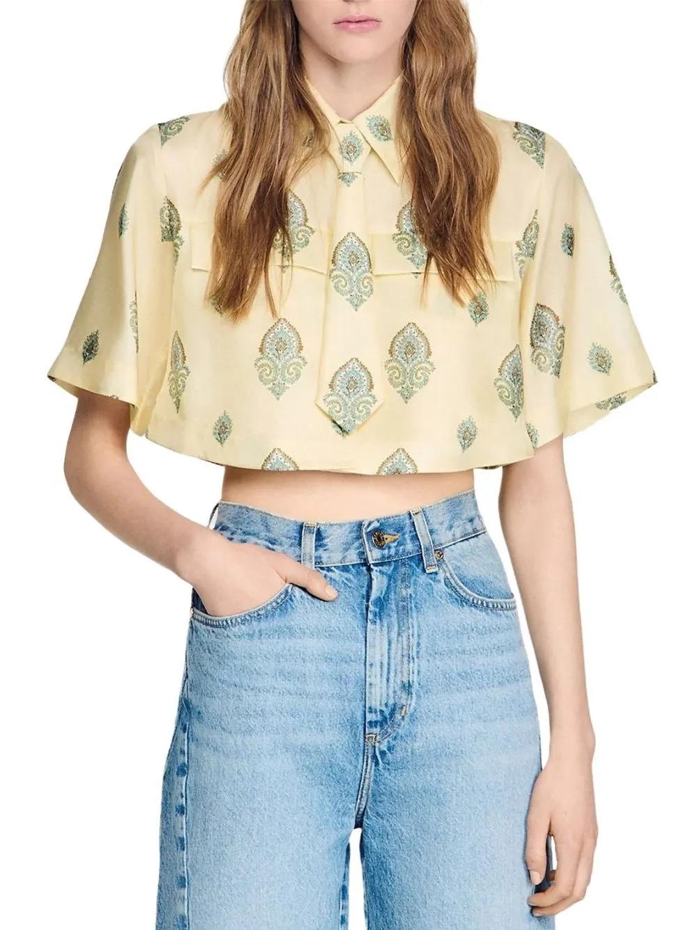 Paisley Print Crop Top - OWNCI Paisley Print Crop Top - OWNCI