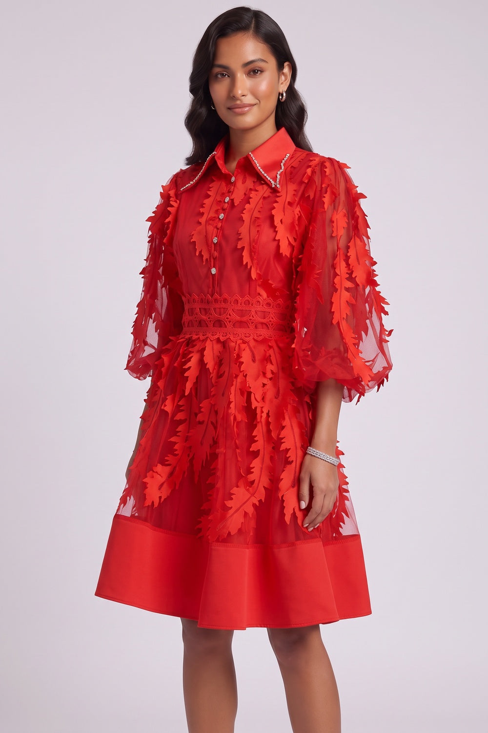 Red Sheer Organza 3D Appliqué Fit-and-Flare Dress - OWNCI