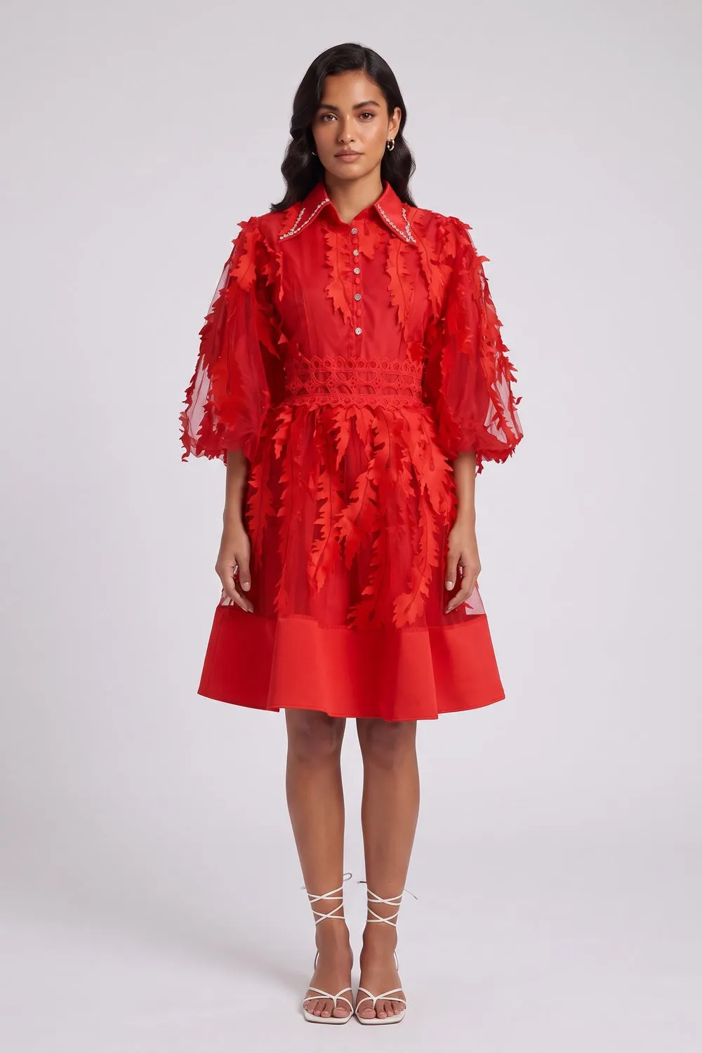 Red Sheer Organza 3D Appliqué Fit-and-Flare Dress - OWNCI Red Sheer Organza 3D Appliqué Fit-and-Flare Dress - OWNCI