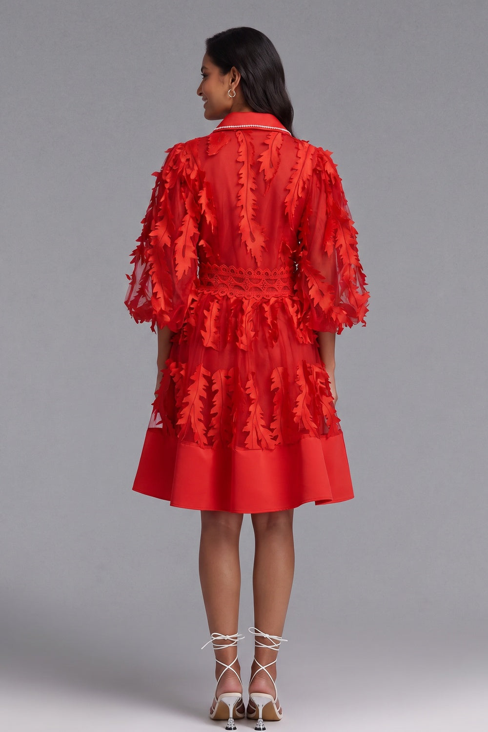 Red Sheer Organza 3D Appliqué Fit-and-Flare Dress - OWNCI