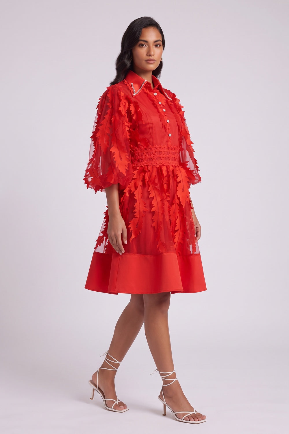 Red Sheer Organza 3D Appliqué Fit-and-Flare Dress - OWNCI