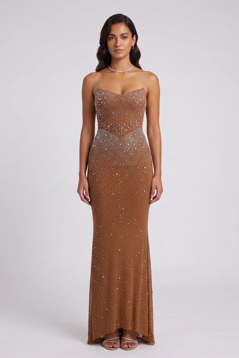 Brown Mesh Fitted Column Gown with Crystal Embellishments - OWNCI