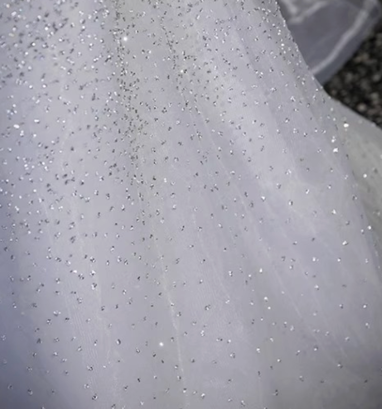 Silver Tulle A-Line Evening Gown - OWNCI Silver Tulle A-Line Evening Gown - OWNCI
